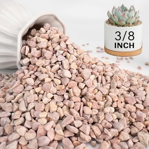 3 lbs Pebbles for Indoor Plants, 3/8 Inch Pea Gravel for Fish Tank, Decorative Rocks for Succulent, Natural River Stones for Vases, Cactus, Landscaping, Bird Bath, Aquarium, Peach - color: Peach, size: 3 Lb