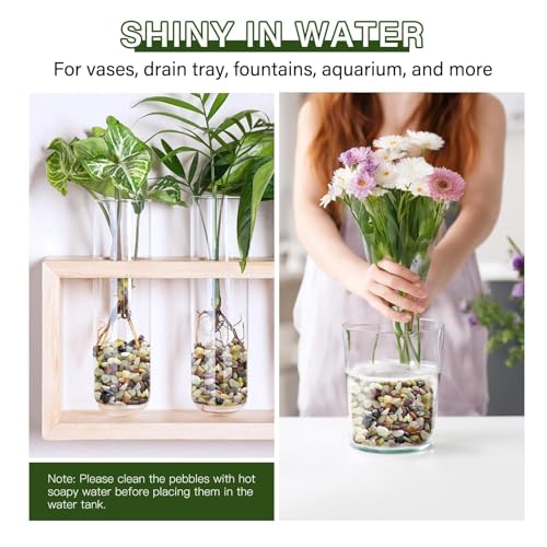 3 lbs Pebbles for Indoor Plants, 3/8 Inch Pea Gravel for Fish Tank, Polished Decorative Rocks for Succulent, Natural River Stones for Vases, Cactus, Landscaping, Bird Bath, Aquarium, Colorful - color: Colorful, size: 3 Lb
