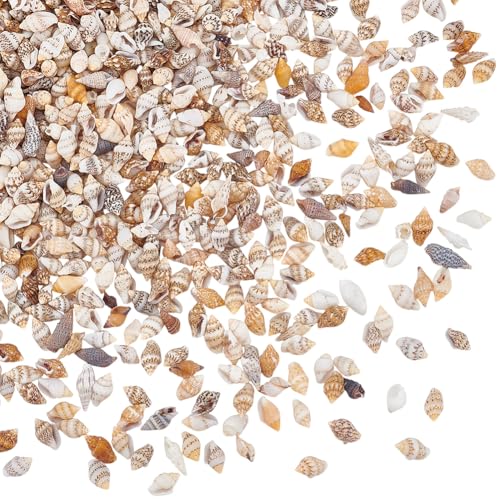 PH PandaHall 1290pcs Tiny Sea Shells No Hole Seashells Natural Conch Seashell Bulk for Resin Crafts Candle Making Vase Fillers Fish Tank Mirror Decoration Oceaan Beach Theme Party 7~15mm