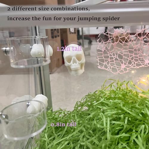 Tall Jumping Spider Feeding Dish, Magnetic Tiny Food Dishes Water Dish for Jumping Spider, Tarantula and Other Small Pets,(1.2in Tall) - size: Single