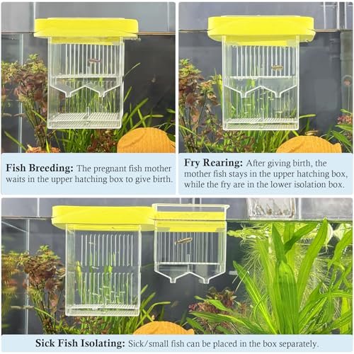 Floating Breeder Box for Fish Tank, Small Fish Tank with Hatchery Incubator and Divider Isolation Box, Fish Tank Separator for Guppy, Betta, Clownfish, Coral, Baby & Injured Fish