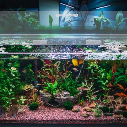 Sieral Aquarium Polycarbonate Canopy Set 29 x 11.38 x 0.12 Inch for 20/29/37 Gallon Without Center Brace Aquariums Cover Fish Tank Lid with a Hook Knife, Clear - color: Clear, size: 30 x 12 Inch