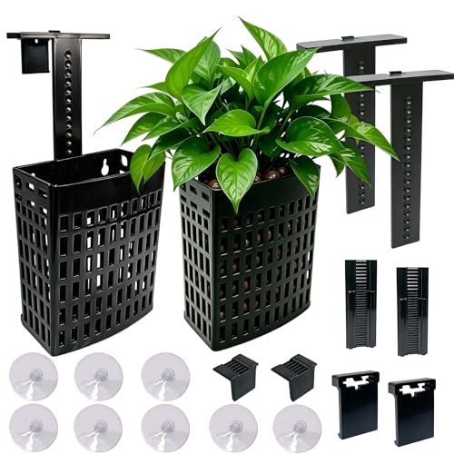 2 Pack Upgraded Aquarium Plant Holder, Adjustable Width and Height Hook Fish Tank Plant Holder with Suction Cup for Aquascape Decor (Black) - color: Black