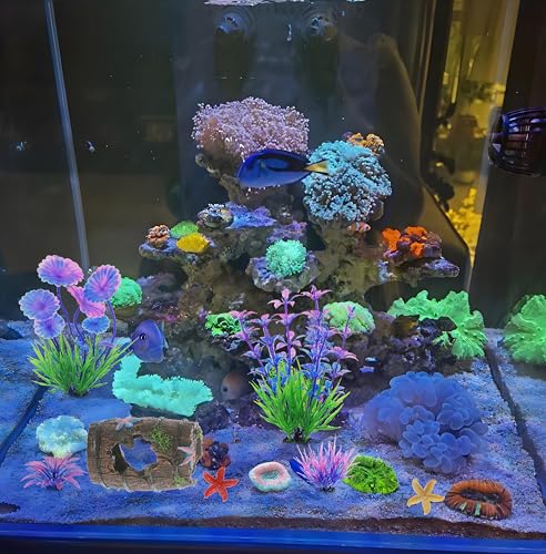 9Pcs Tank Accessories for Beta Fish,Small Fish Tank Decorations, Beta Fish Tank Starter Kit