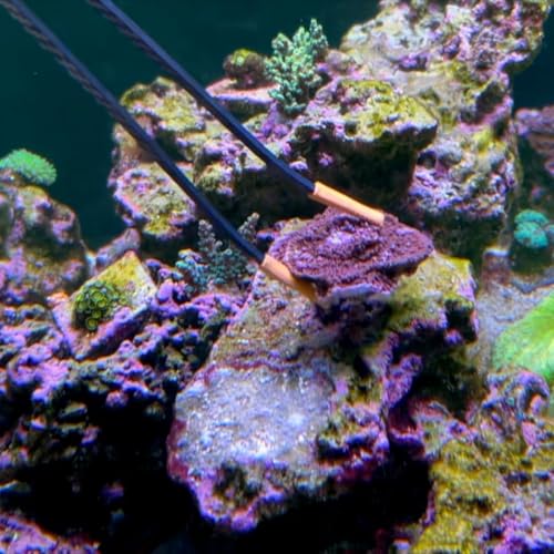 IceCap 14in Carbon Fiber Aquarium Tweezers