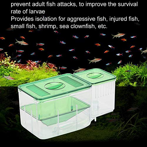 Fish Breeder Box,Double Layer Little Fish Isolation Hatching Incubator Aquarium Fish Isolation Breeding Box for Injured Small Fish Shrimp Clownfish Guppy