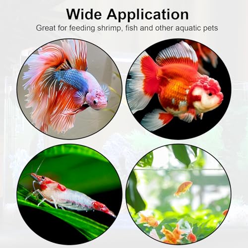 2PCS Shrimp Feeding Dish, Shrimp Feeder Dish with Suction Cups, Clear Fish Tank Feeder Bowl, Acrylic Fish Tank Feeding Bowl for Freshwater and Saltwater Tanks (60mm)