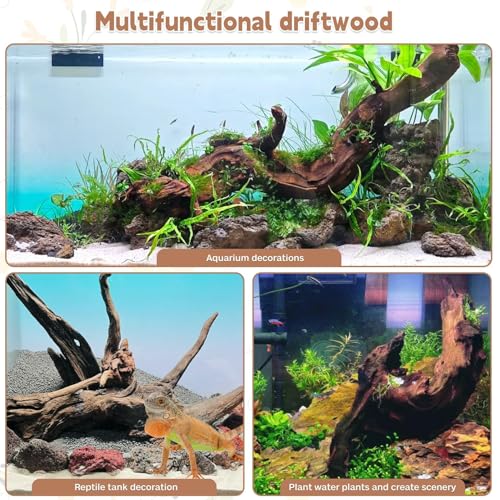 PINVNBY Large Driftwood for Aquarium Fish Tank Decorations Natural Assorted Branches Bearded Dragon Tank Accessories Terrarium Decor for Aquarium Decor (11-18 inches/1 Pack) - size: XL:Mopani Driftwood (11 - 18 inches/1 Pack)