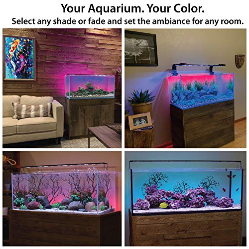 CURRENT USA 72" Serene Aquarium LED Background Light Kit | Fish Tank Lighting Backdrop Decoration Black 3D 125, 150, 180 Gallon Tank (3154) - size: 72"