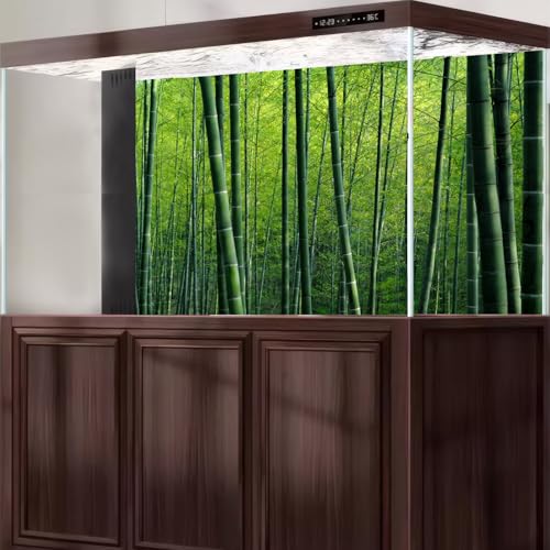 Bamboo Forest Aquarium Background Lush Green Bamboo Forests Scenery Fish Tank Background Idyllic Scenic Bamboos Terrarium Backgrounds Tranquil Bamboos Trees Reptile Tank Backgrounds 24x12in - color: Green, size: 24(W)x12(H)in