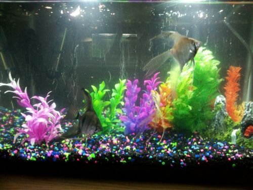 CNZ 6 Piece, Assorted Color Aquarium Plastic Plant Decoration with Ceramic Base