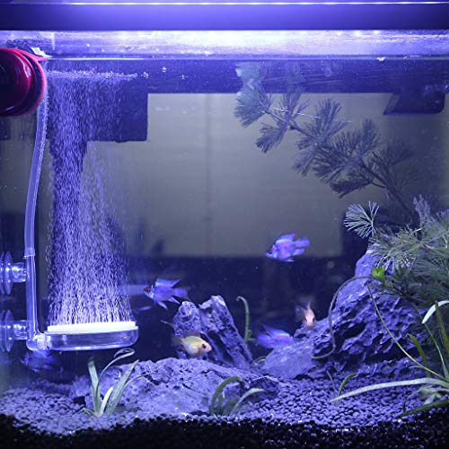Upettools Aquarium Air Stone Fish Tank Nano Bubble Stone Kit with Control Valve Quiet Super-High Dissolved Oxygen Diffuser Makes Super Tiny Bubbles for Fish Tank and Hydroponic (T60)