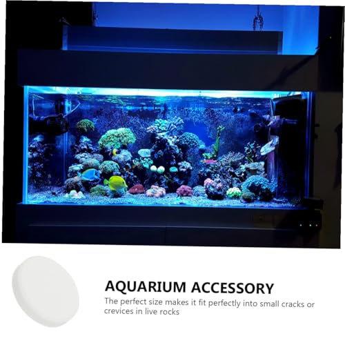10pcs Fish Tank Coral Base Terrarium Cave Sand Stand Coral Breeding Bases Gasket Large Fish Tank Ornaments Gel Pad Coralline Serving Tray Round Conch Siphon Ceramics