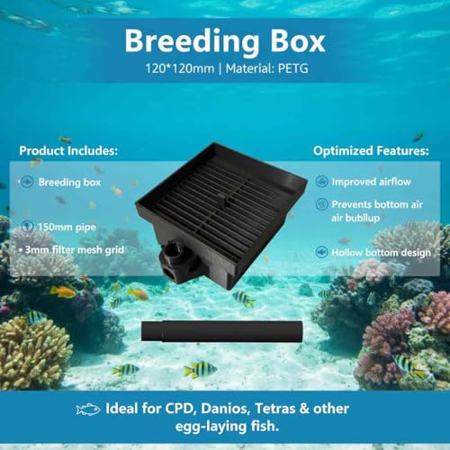 Breeding Box Suitable for Fluval Aquariums | Fish Egg Collector | Suitable for breeding Egg-Laying Fish | Dimensions: 120 x 120 x 80 mm (Black) - color: Black