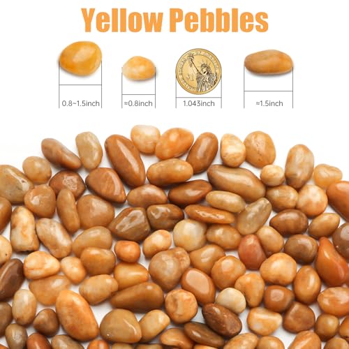 5 Lbs River Rocks for Plants,0.8-1.5 Inch Decorative Ornamental Pebbels, High Polished Stones for Garden Landscaping, Smooth Gravel Filler, Succulents, Fish Tank, Yellow - color: yellow or white