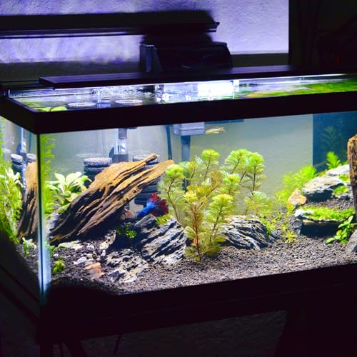 TEHAUX Aquarium Leveling Mat 15.7x11.8 in 0.6cm Thick Foam – Shock-Absorbing Crack Prevention for Rimless 10-Gallon Tanks, Non-Slip Waterproof Floor Protector for Betta & Small Aquariums
