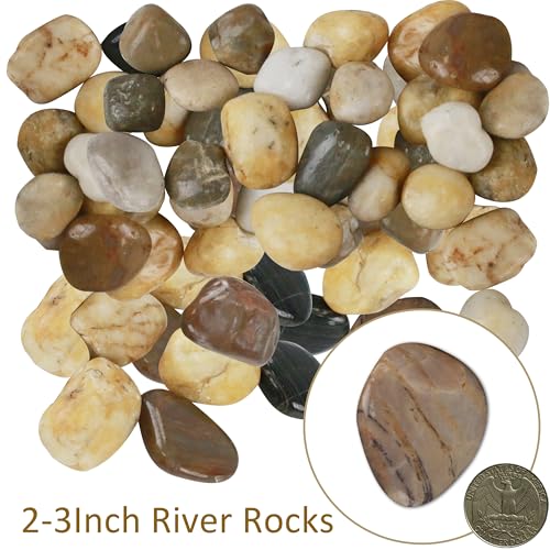 Sunnyglade 40 LBS River Rocks, 2-3 Inch Natural Pebbles for Indoor Plants, High Polished Decorative Stones Vase Filler Fish Tank Aquariums Landscaping Garden Outdoor and Indoor DIY (40, Pounds) - size: 40 Pounds