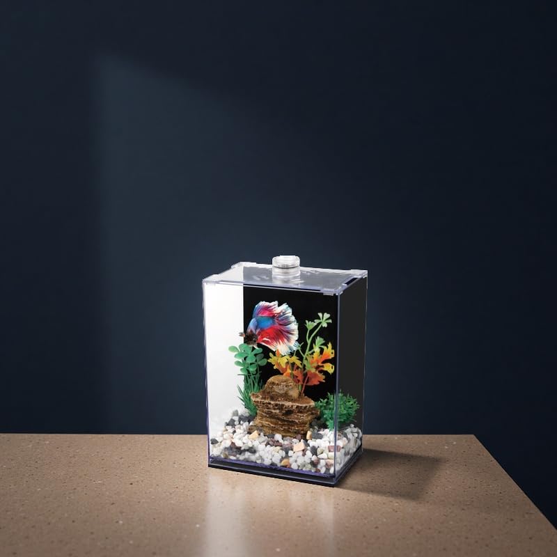Betta Fish Tank with LED Light, 15x10x20 cm, Acrylic Aquarium with Cover and Black Wall Paper