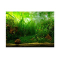 Aquarium Fish Background Poster PVC Adhesive Decor Paper Green Water Grass Aquatic Like Real(24.02x11.81in)