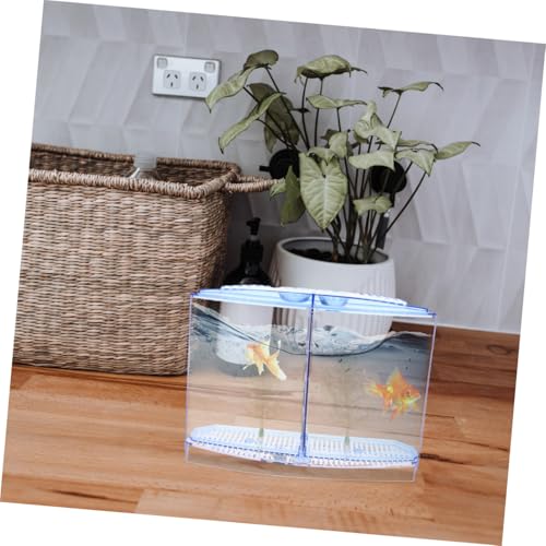 Mini Fish Tank Ornament for Betta Fish Stylish Desktop Aquarium Breeding Tank for Home Decor and Crafting for Living Room Bedroom and Weddings