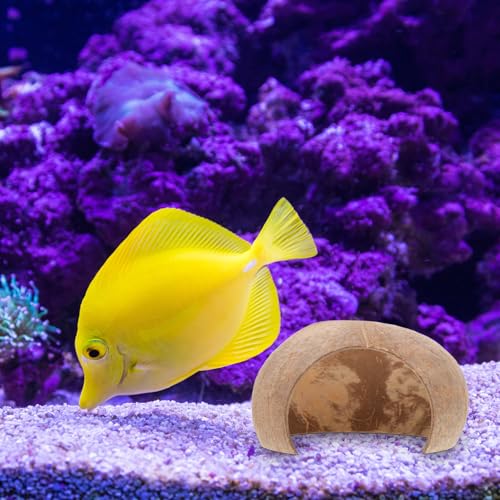 GALPADA 2pcs Coconut Shell Fish Hideout Aquarium Decoration Reptile Cave Ornament Large Size for Breeding Hiding Habitat Suitable for Shrimp Turtle Hermit Crab