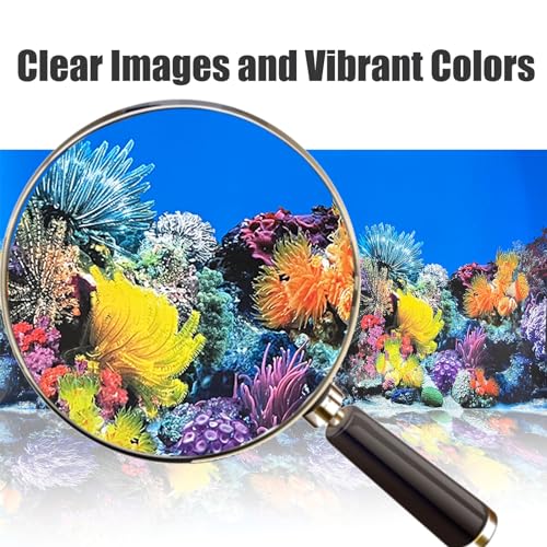 XCNO Fish Tank Background Sea Anemone Coral Theme Aquarium Background Poster Fish Backdrop for Aquarium Wallpaper Double-Sided Fish Tank Sticker Paper - color: Seafloor, size: 11.6" x 25" In