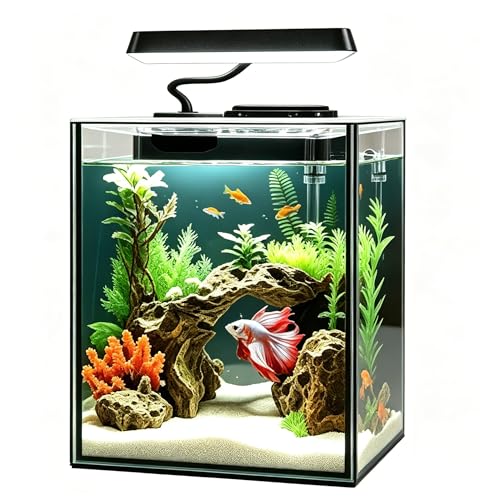 Glass Betta Aquarium Starter Kits 1.5 Gallon Small Fish Tank, Betta Fish Tank with LED Light, Power Filter, Black. 4mm Glass - color: Black transparent