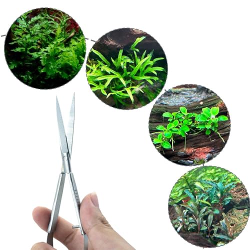 LINLAN Aquatic Plant Spring Scissors for Precise Trimming, Stainless Steel with Top Rebound Feel, Ideal for Aquatic Ferns and Microsorum Pteropus in Planted Tanks - size: Curved