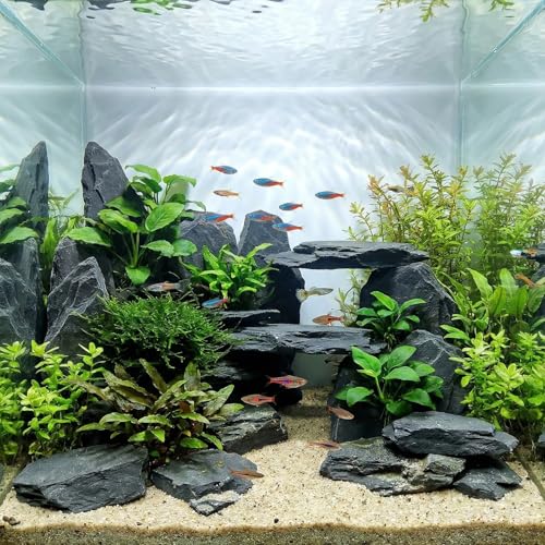 Slate Rock for Aquarium, 3-5 Inch Polished Natural Stone Rocks, Fish Tank Decor, Aquascaping Rocks, Safe for Aquariums, Terrariums, 5 lbs - color: 5 lbs, size: 3-5 Inch