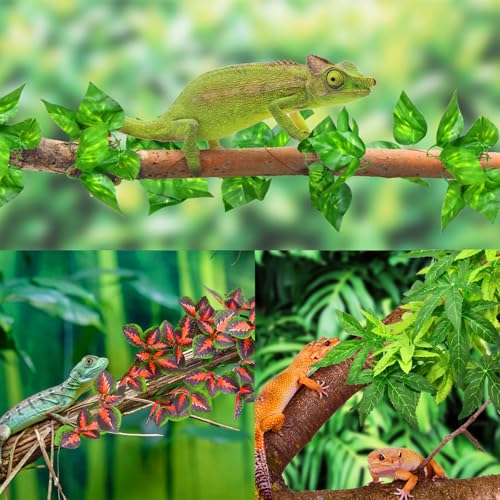 KATUMO Reptile Plants, 3 PCS Amphibian Hanging Plants with Suction Cup for Snake, Bearded Dragons, Lizards, Geckos, Toads, Hermit Crab Tank Pets Habitat Decorations - color: Green+fire Red