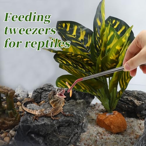 Stainless Steel Reptile Feeding Tongs, Curved Aquarium Tweezers with Rubber Tip, Terrarium Tongs for Gecko, Lizard & More, 10.63" Length, Red