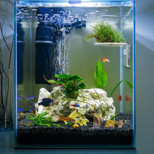 4 Pack Window Plant Floating Shelf, Suction Cup Shelf for Fish Tank, Acrylic Ledge Plants Holder Window Sill Extender for Indoor Plants, Micro Greens, Succulents, Herb Pots (Semicircular)