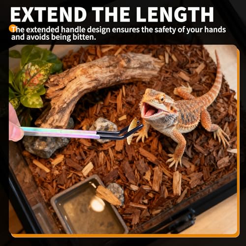 3 Pack Stainless Steel Reptile Feeding Tongs, 10.6" Straight & Curved | Rubber Tip and Spoon, Tweezers for Aquariums & Crafts, For Bearded Dragons & Lizards, Terrarium Tank Supplies