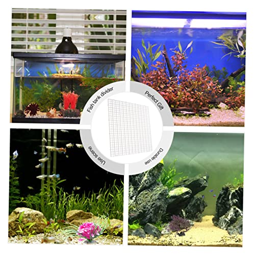 TOYANDONA 1 Set Durable Fish Tank Divider Mixed Breeding Isolation Panel with Suction Cups Cable Ties for Aquarium Supplies Enhances Fish Survival Rate Isolates Aggressive Species