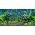 AWERT 30x18 inches Tropical Fish Tank Background River Bed & Lake Aquatic Plant Undersea Tree Branch Aquarium Background Vinyl - size: 30x18in/75x45cm