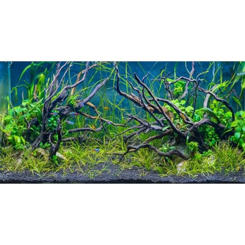 AWERT 30x18 inches Tropical Fish Tank Background River Bed & Lake Aquatic Plant Undersea Tree Branch Aquarium Background Vinyl - size: 30x18in/75x45cm