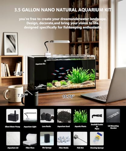Fish Tank Kit,3.5 Gallon Small Aquarium,Ultra-Clear Nano Aquarium,Betta Fish Tank,Suitable for Small Fish Tank,Aquarium Starter kit,Desktop Fish Tank (Black Background) - color: Black background