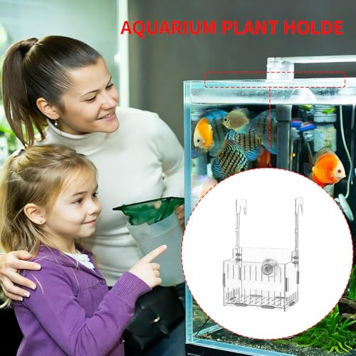 Hydroponic Plant Holder – Transparent Double-Hook Aquarium Holder, Adjustable Acrylic Aquatic Plant Planter, Durable Plants Rest, Underwater Vine Moss Decoration for Aquarium Corner - size: Single cell