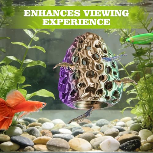 Shrimp Dome Hide, Shrimp Hides for Aquarium, Betta Fish Hideout with Suction Cup, Betta Habitat Tank Ornament Accessories, Aquarium Decor for Small Fish Guppy Hiding Resting (Green Purple) - color: Green Purple Gradient