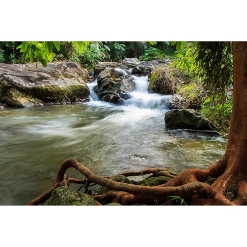 Waterfall Aquarium Background Natural Jungle Rainforest Landscape Terrarium Background Jungle Style Stream Fish Tank Background Waterfall Rainforest Reptile Habitat Background Poster Vinyl 24x16in - color: Brown Root, size: 24(W)x16(H)in