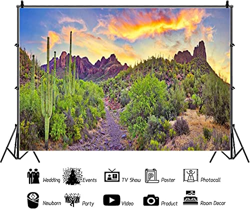 15x8ft Western Desert Backdrop Arizona National Park Rock Mountain Green Plants Saguaro Cactus Landscape Terrarium Background Reptile Habitat Tank Decor Cowboy Pet Portrait Photo Shoot Props - size: 15x8ft