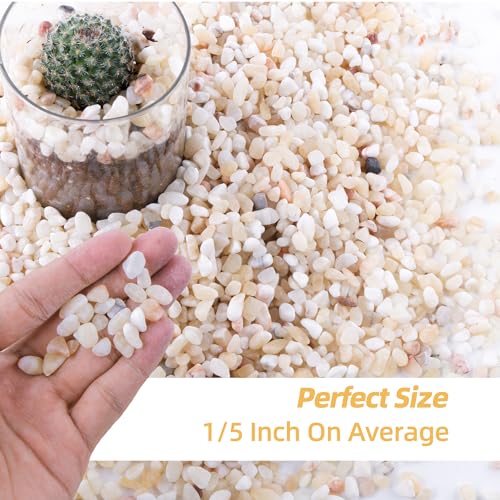 2.4lb Aquarium Gravel for Plants, 1/5Inch Outdoor Decorative River Rocks for Succulents and Cactus Landscaping, Garden Plant Rocks Natural Small Rocks Pea Gravel for Fish Tank Vases Terrarium