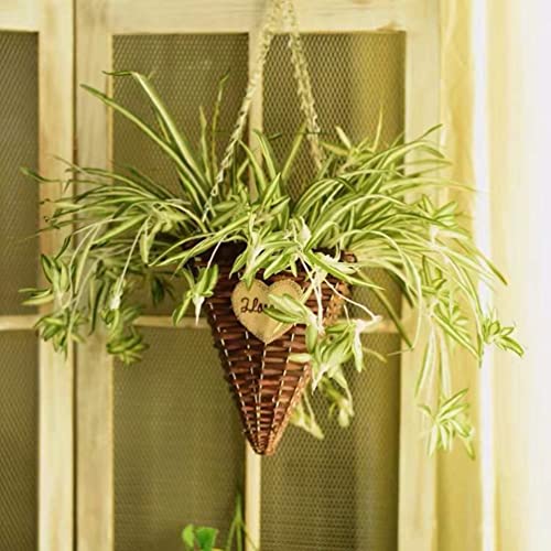 GBESTWOOW Artificial Spider Plant Hanging Vine Fake Greenery for Home Garden Office Wedding Decoreation 2pcs - size: 25 inch