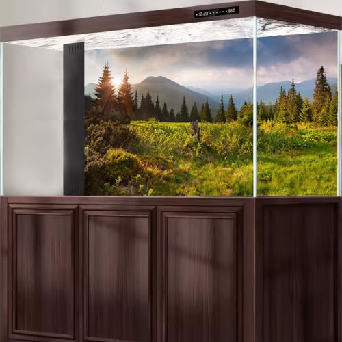 Mountain Valley Aquarium Background Tranquil Sunset Pine Trees Landscape Fish Tank Background Sunrise Scenic Mountain Fir Forests Terrarium Backgrounds Barren Thorns Reptile Tank Backgrounds 24x12in - color: Light Green, size: 24(W)x12(H)in