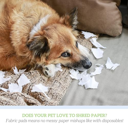 GREEN LIFESTYLE Washable Pee Pads for Dogs - Thick Heavy Absorbent Waterproof Pet Training Pads - Puppy Pads - for Puppy Playpen, Crate, Whelping Box, Potty Training (Pack of 2-18x24) - color: Blue/White, size: 2 Pack - 18x24