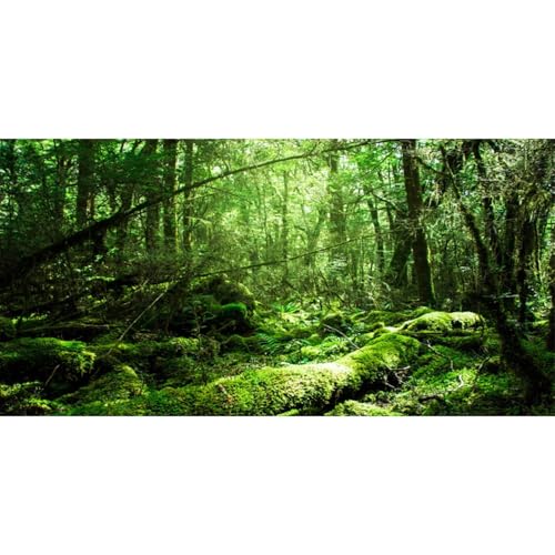 AWERT 36x18 inches Tropical Terrarium Background Rainforest Aquarium Background Green Tree Reptile Habitat Background Vinyl - size: 36x18in/90x45cm