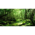 AWERT 48x18 inches Tropical Terrarium Background Rainforest Aquarium Background Green Tree Reptile Habitat Background Vinyl - size: 48x18in/120x45cm