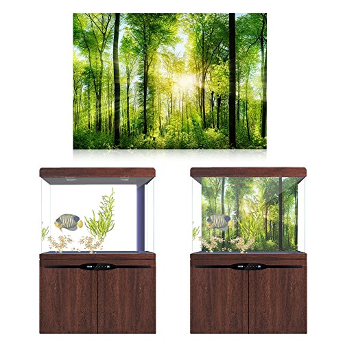 Dioche 3D Effect Forest Terrarium Background, Adhesive Forest Poster for Aquarium Fish Decoration, Foggy Rainforest Aquarium Background, PVC Background (122 * 50cm)