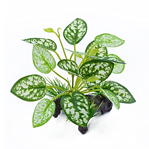 Reptile Artificial Plants, Terrarium Plants Decorations Supplies, Amphibian Habitat Hideout Tank Accessories, Rainforest Ground Plant