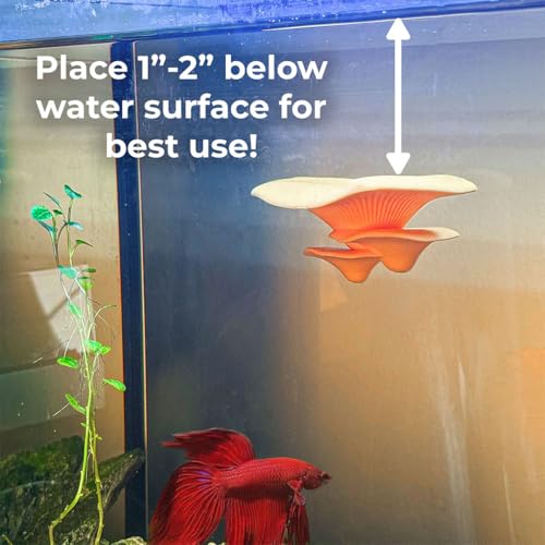 Mushroom Betta Perch Hammock | Suction Cup Aquarium Decor & Enrichment for Bettas | Resting Spot & Fish Tank Decoration (Light Blue) - color: Light Blue